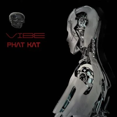 Vibe 專輯 Phat Kat