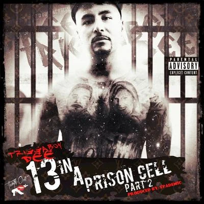 13 in a Prison Cell, Pt. 2 專輯 DJ 40oz/Triggaboy Dee