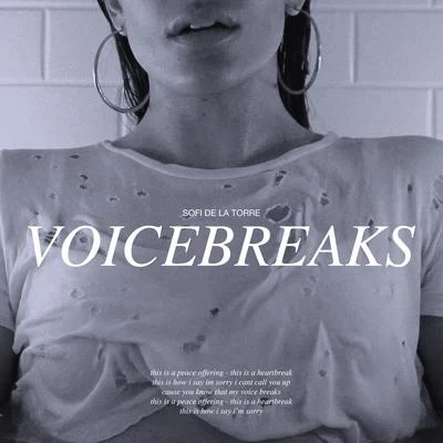 Voicebreaks 專輯 Sofi de la Torre/Celtic Woman/Quintino & Blasterjaxx/Miss Amani