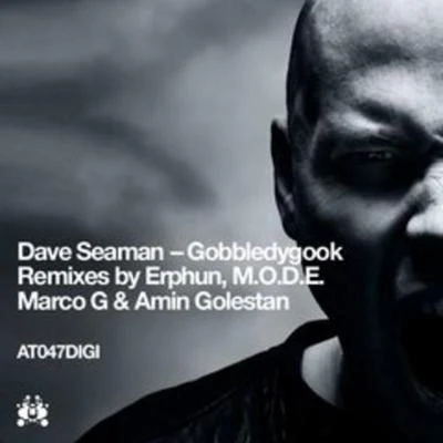 Dave Seaman Gobbledygook (Remixes)