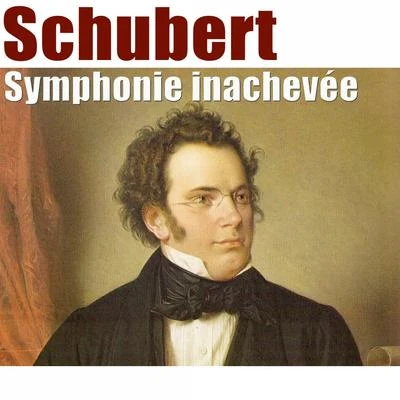 Schubert: Symphonie inachevée 专辑 Orchestre Symphonique de RTL