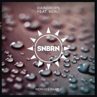 Raindrops (Remixes Part 2) 专辑 SNBRN/Madalen Duke