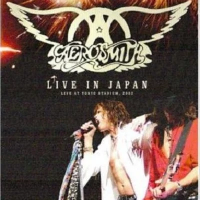 Aerosmith Live In Japan At Tokyo Stadium