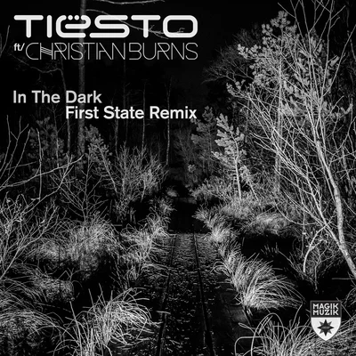 In the Dark 專輯 Christian Burns/Tom Fall/Jaren/Tom Swoon/Bobina