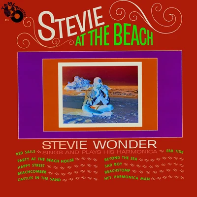 Stevie Wonder Stevie at the Beach