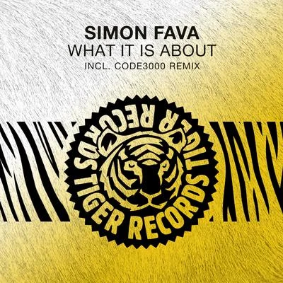 Simon FavaGregor Salto What It Is About