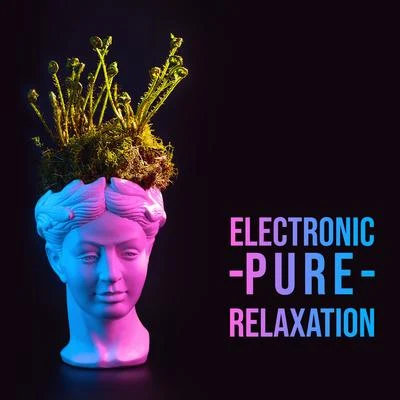 Electronic Pure Relaxation – Deep Lounge Chill, Music for Inner Calm, Relaxation Mix 2020 专辑 Musicas Electronicas/Minimal Lounge/Cafe Chillout Music Club