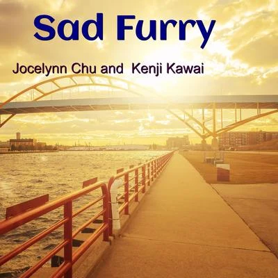 Sad Furry 專輯 川井憲次