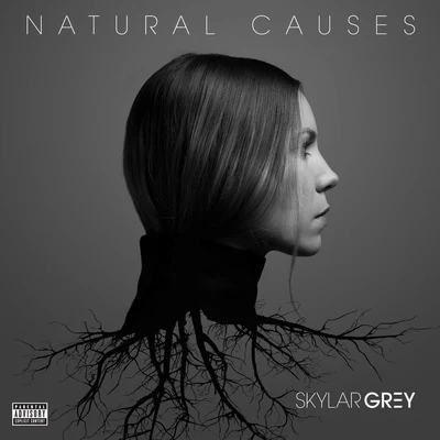 Natural Causes 專輯 Skylar Grey