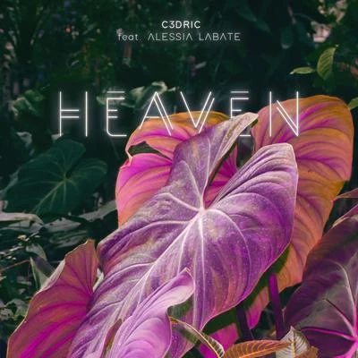 Heaven 專輯 Mark Villa/Alessia Labate