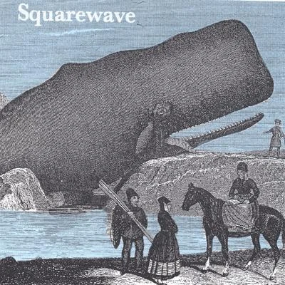 Dullhead 專輯 Squarewave