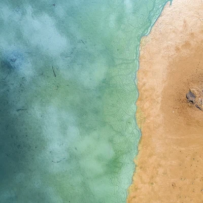 Primavera Y Verano 2019: Hermosa Lluvia En Bucle Para Dormir Y Relajarse 專輯 Musica Para Dormir y Sonidos de la Naturaleza