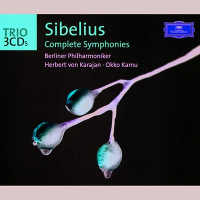 Sibelius: Complete Symphonies 专辑 Turku Philharmonic Orchestra/Jorma Panula/Okko Kamu