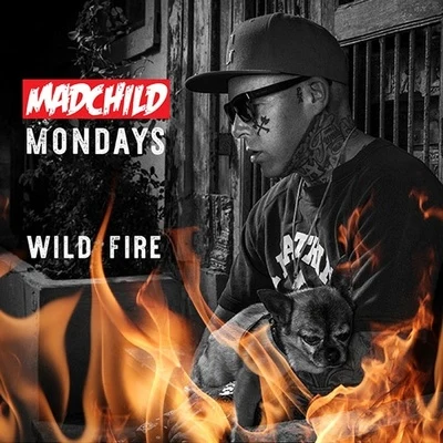 Wild Fire 專輯 Madchild