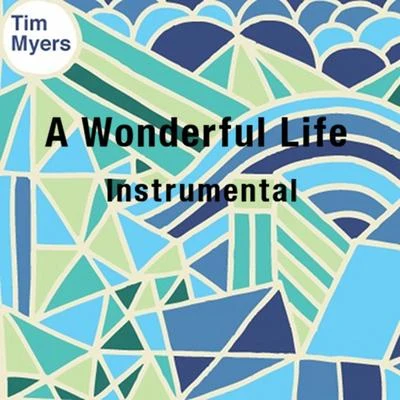 A Wonderful Life (Instrumental) 專輯 Tim Myers