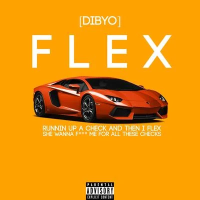 FLEX 專輯 Dibyo