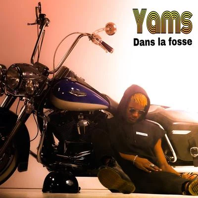 Dans la fosse 專輯 Yams/Chris Kaeser