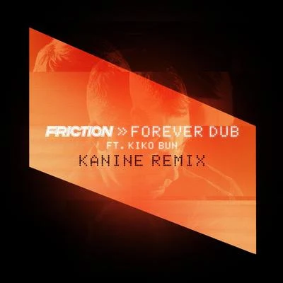 FrictionJonny L Forever Dub (Kanine Remix)