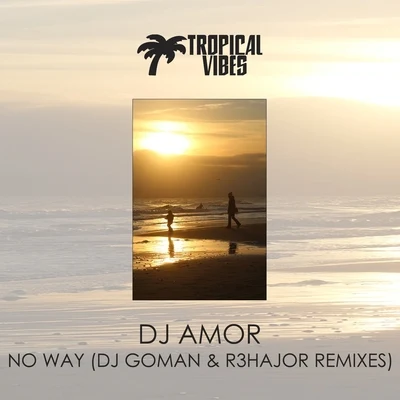 No Way (Remixes) 專輯 Dj Amor