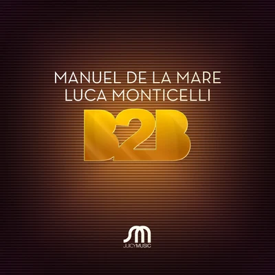 Luca Monticelli B2B