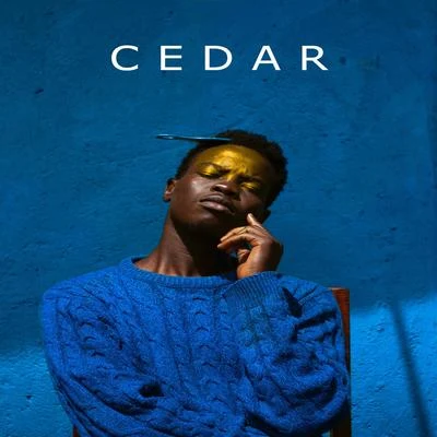 Cedar Trap (Instrumental) 專輯 Grenade/Dennis Omar/Paddy/Yungspecz/De Iva