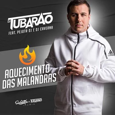 Aquecimento das Malandras 專輯 DJ Tubarão