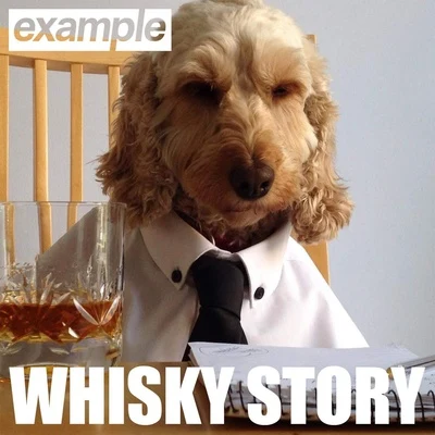 Whisky Story 專輯 Example/Professor Green