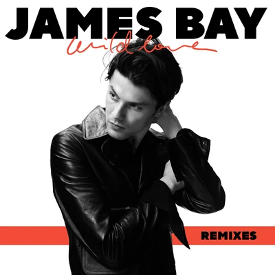 Wild Love (Remixes) 專輯 James Bay