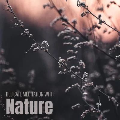 Delicate Meditation with Nature – Calmness & Tranquil, Stress Relief, Calm Down, Relaxing Sounds Nature, Ambient Music, Yoga Meditation 專輯 Nature Sounds Artists