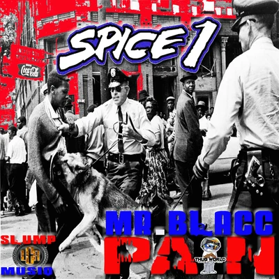 Pain (feat. Mr. Blacc & Slump Musiq) 專輯 Spice 1