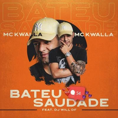 Bateu Saudade 专辑 DJ Will DF/Mc MN/MC Teteu