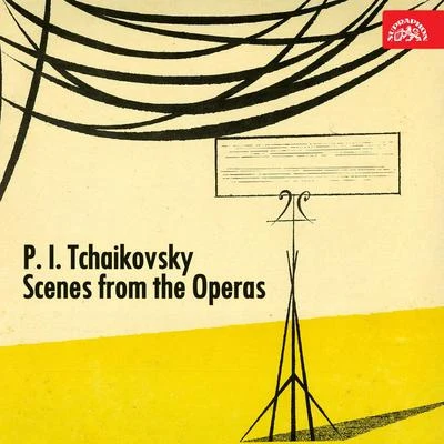 Tchaikovsky: Scenes From The Operas 專輯 Premysl Kocí