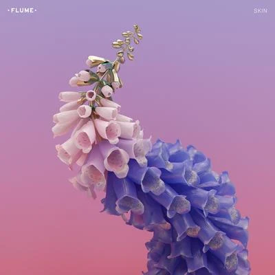 Wall **** 专辑 Flume