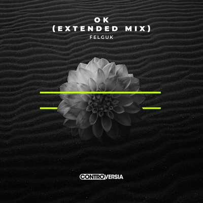 OK (Extended Mix) 專輯 Felguk/Oliver Heldens/Illusionize/VooDooSon