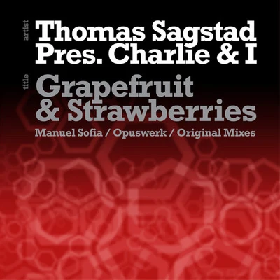 Grapefruit and Strawberries 專輯 Thomas Sagstad