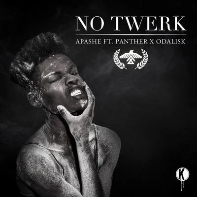 No Twerk 專輯 Apashe