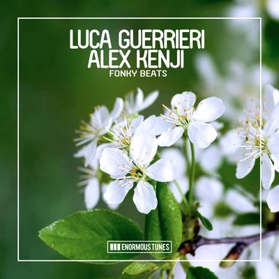 Fonky Beats 专辑 Luca Guerrieri