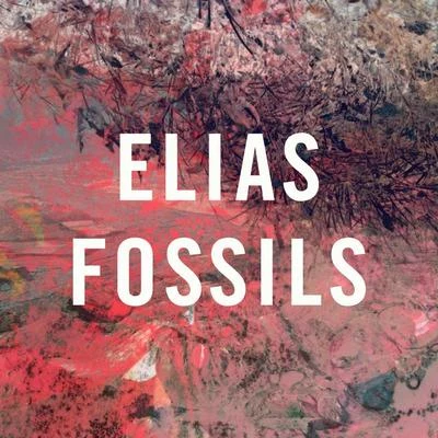 Fossils 专辑 Elias/Nathan/BIBI/Mïrändä/Mary Luz