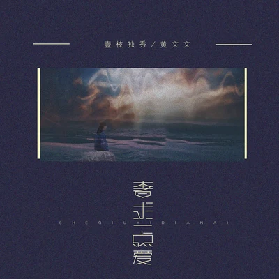 奢求一点爱 专辑 壹枝独秀/夏斯汀