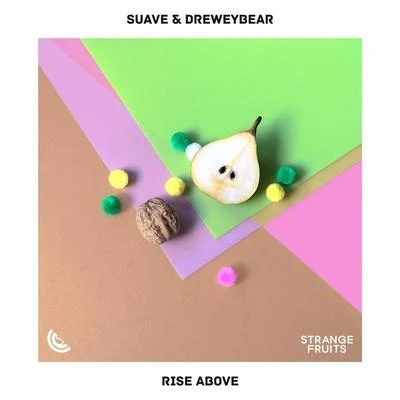 Rise Above 專輯 Thugz from Da Southside/M-Child/Suave/Pimp Teddy/Nigero