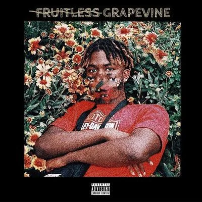 Fruitless Grapevine 专辑 UD