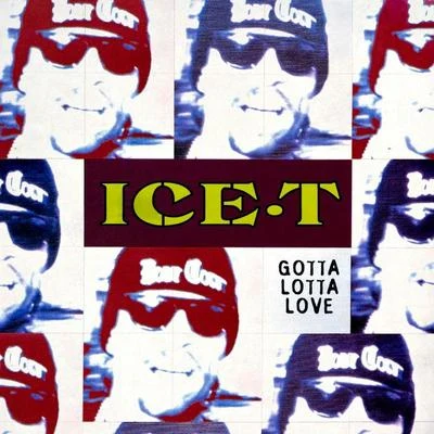 Gotta Lotta Love 專輯 ICE-T/Ice T