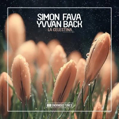 La Celestina 專輯 Simon Fava