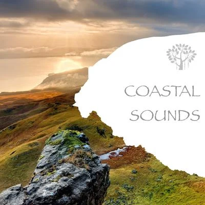 Coastal Sounds 专辑 Natural Spirit