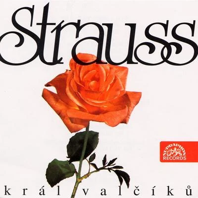 Strauss: King of Waltz 专辑 Dvořák Chamber Orchestra/Miroslav Homolka