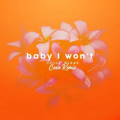 Baby I Won't (Clean Remix) 專輯 Danny Ocean/Fuse Odg