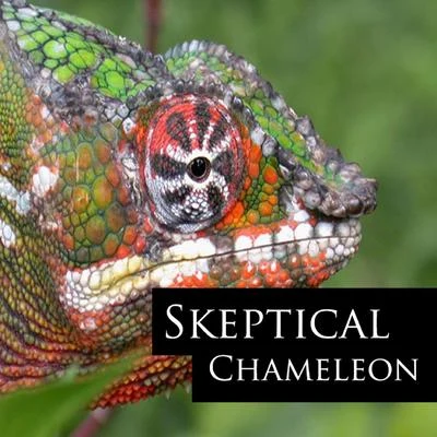 Chameleon 專輯 Skeptical