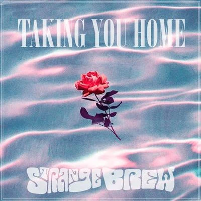 Taking You Home 專輯 STRANGE BREW/Mic Stylz/The Architech/Majik Most/Gr8 Skot