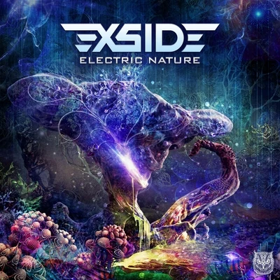 Electric Nature 專輯 X-side