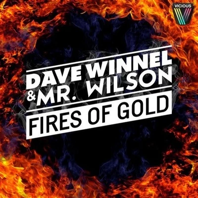 Fires Of Gold 专辑 Dave Winnel